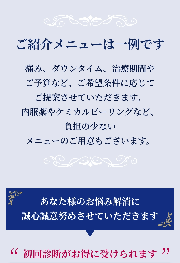 ご紹介メニューは一列です